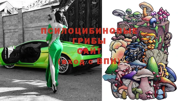 гашиш Абаза